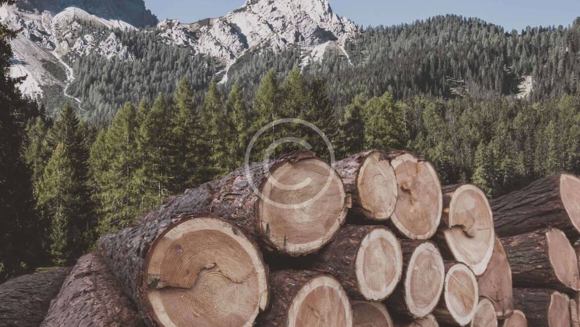 Sustentável